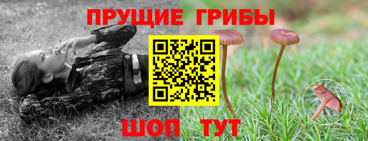 Псилоцибиновые грибы Magic Shrooms Сибай